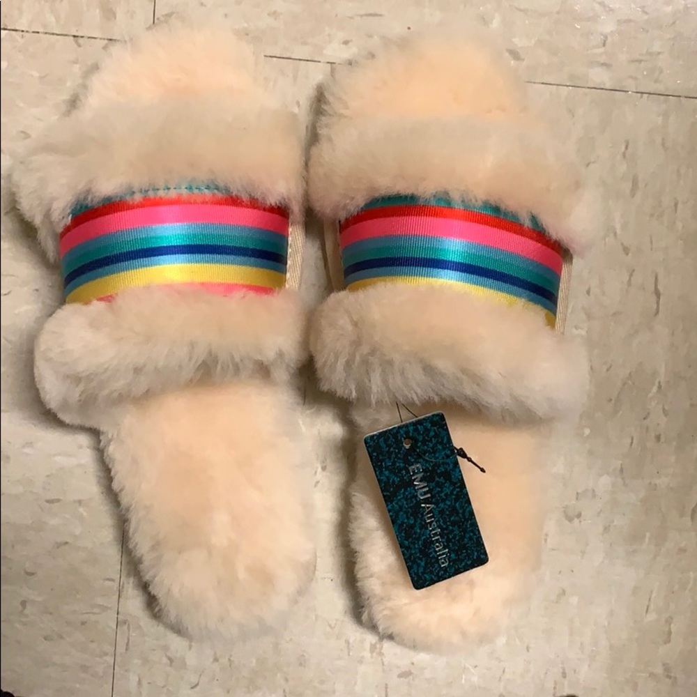 Emu Australia Slides